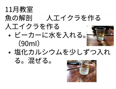 自然科学教室 自然科学教室_清家　稔_11月教室（11.11）-001