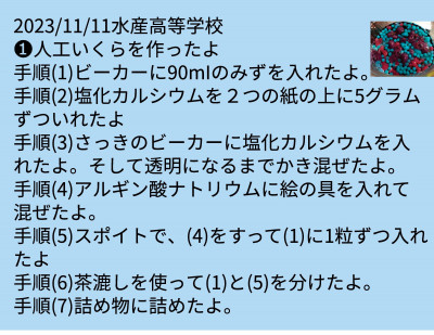 自然科学教室 自然科学教室_清家　稔_11月教室（11.11）-007