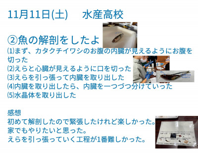 自然科学教室 自然科学教室_清家　稔_11月教室（11.11） (1)-002