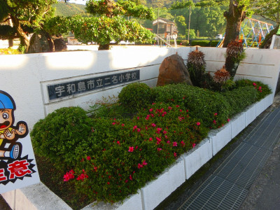 CIMG4052