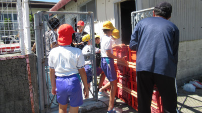 IMG4383