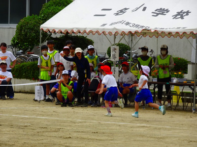 DSC00517