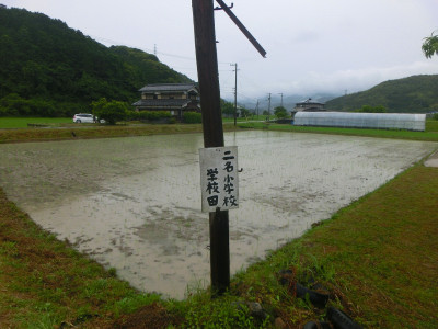 CIMG0031