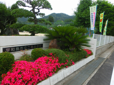 CIMG0105