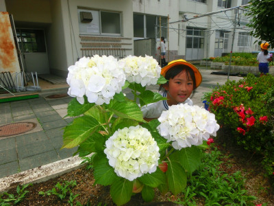 CIMG0951