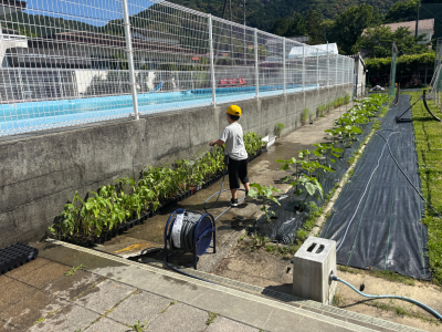 こすもす_さわやかタイム・朝の会_清家 稔_6月_14