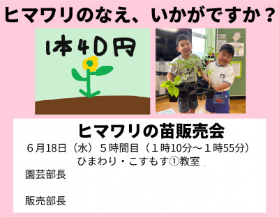 苗販売チラシ