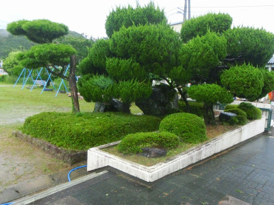 CIMG2547