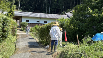 IMG_8801