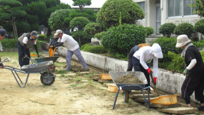 IMG6450