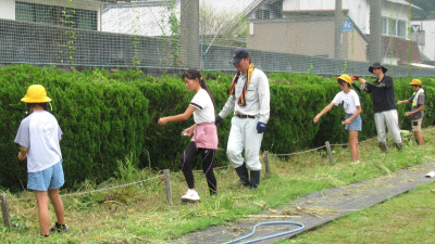 IMG6531