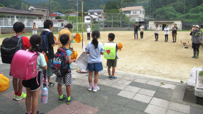 IMG6579