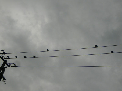CIMG3494